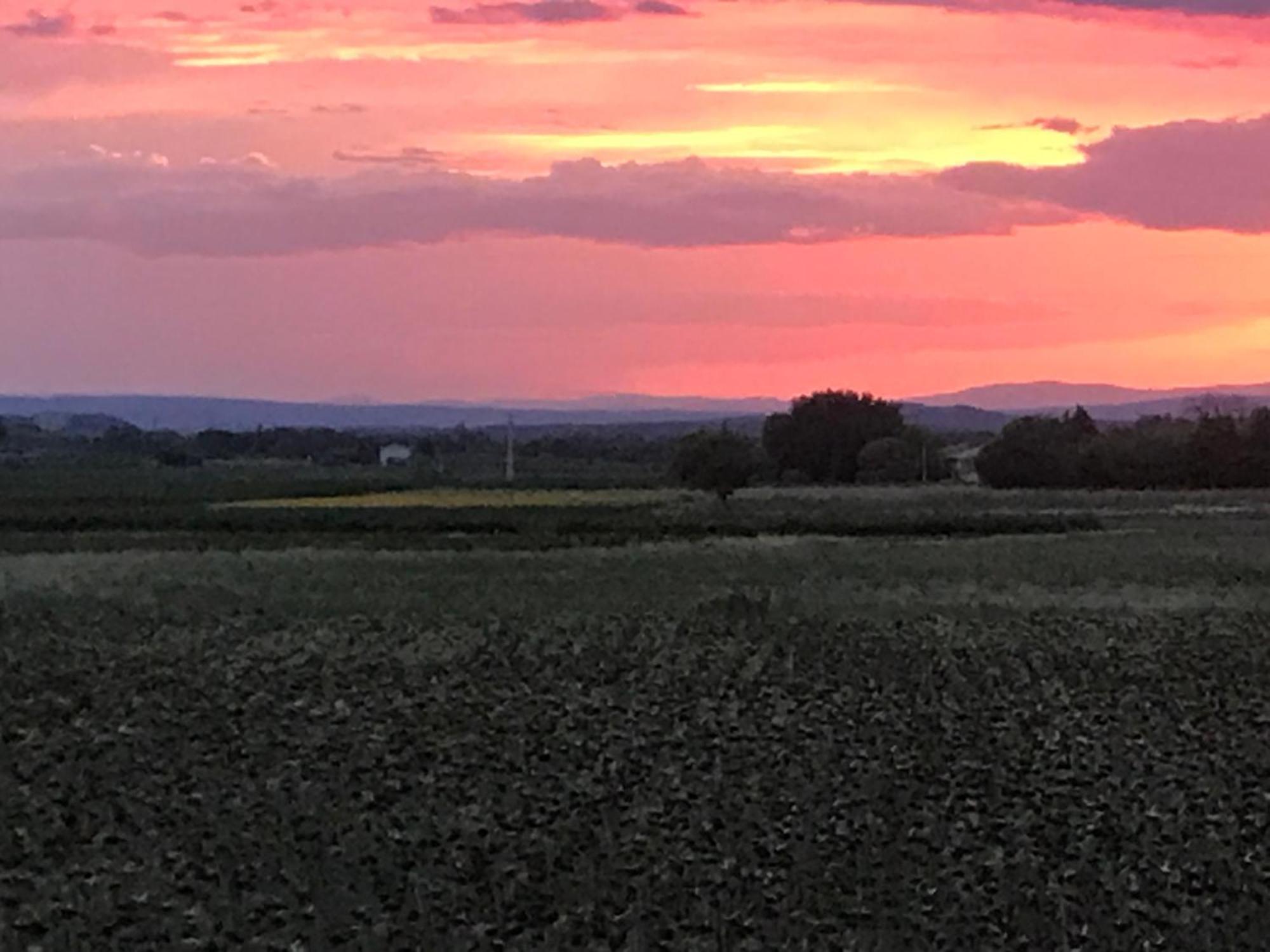 Le Figuier Lägenhet Tulette Exteriör bild