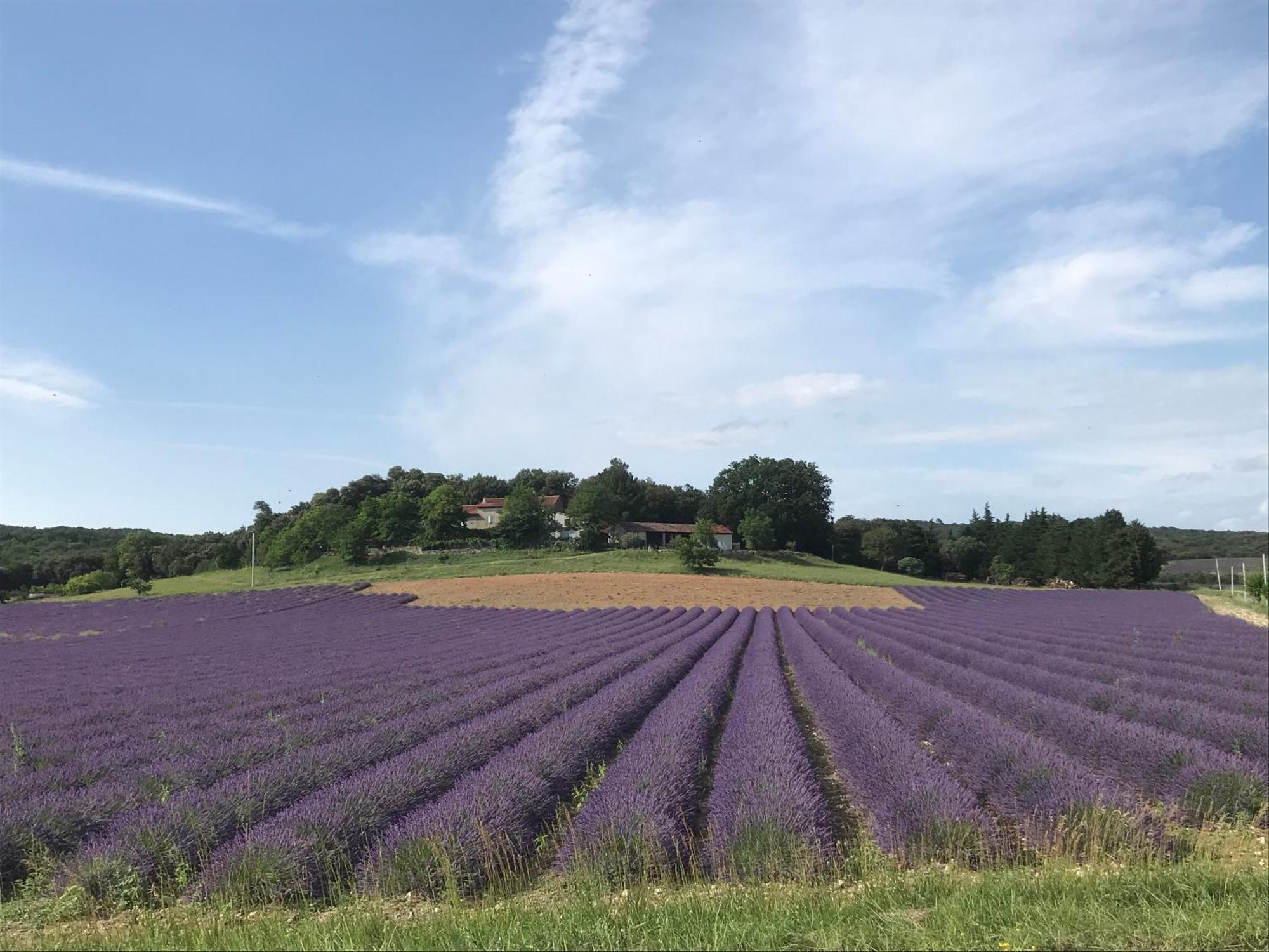 Le Figuier Lägenhet Tulette Exteriör bild